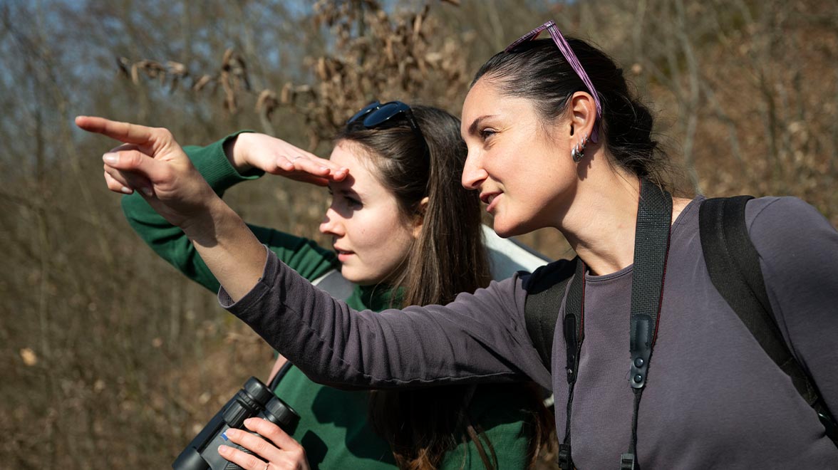 Frankfurt Spring School 2026: Gute Aussichten für den Naturschutz, © Daniel Rosengren/ZGF